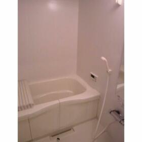 13/16 その他画像