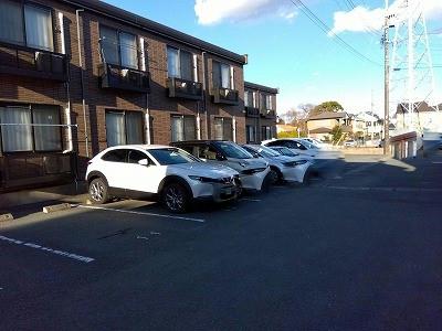 13/14 その他画像