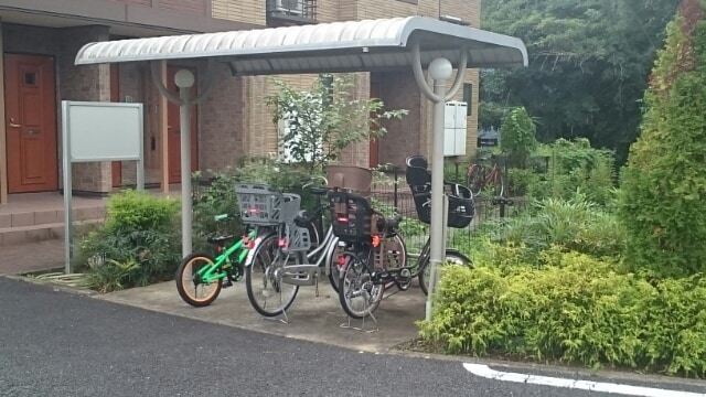 11/20 その他画像