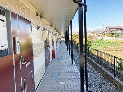 11/11 その他画像