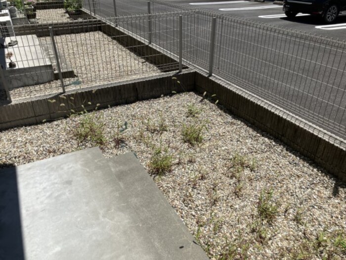 14/17 その他画像