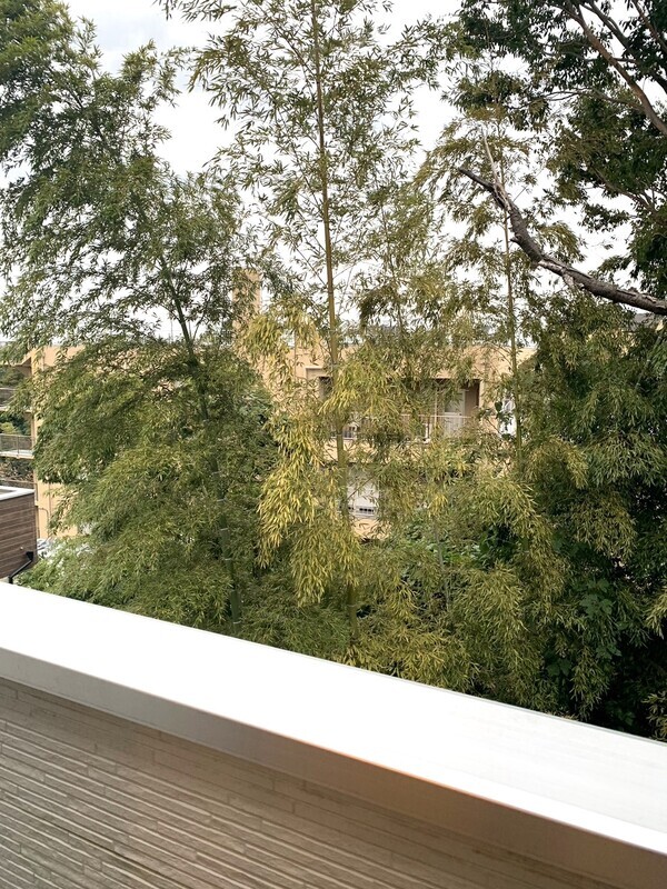 14/18 その他画像