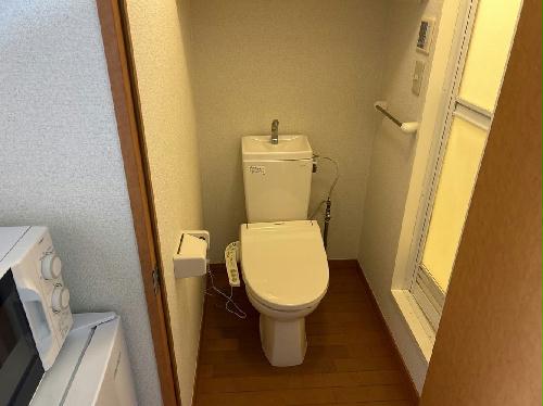 8/14 その他画像