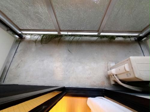 11/23 その他画像