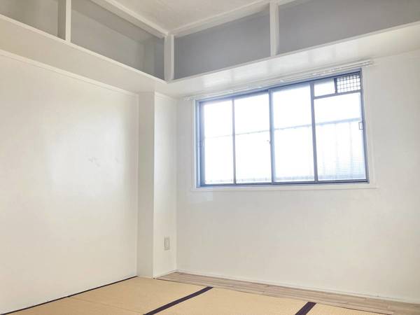 11/15 その他画像