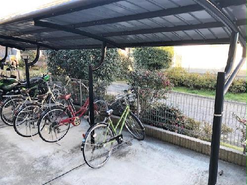 11/23 その他画像