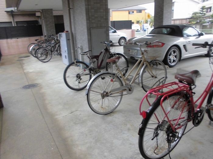 17/21 その他画像