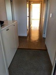 3/16 その他画像