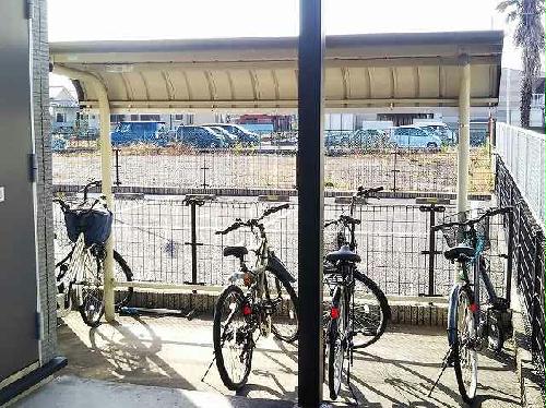 12/14 その他画像