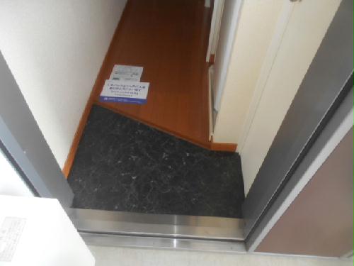 11/15 その他画像