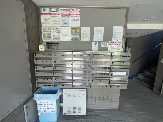 8/11 その他画像