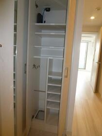 11/11 その他画像