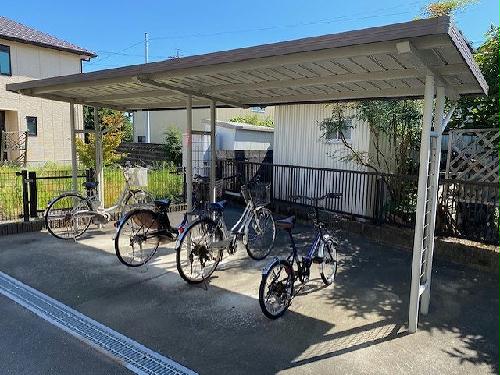 11/18 その他画像