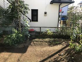 11/11 その他画像