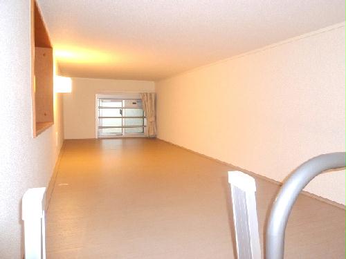 7/17 その他画像