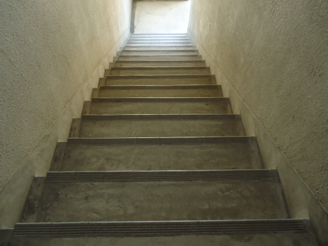 21/24 その他画像