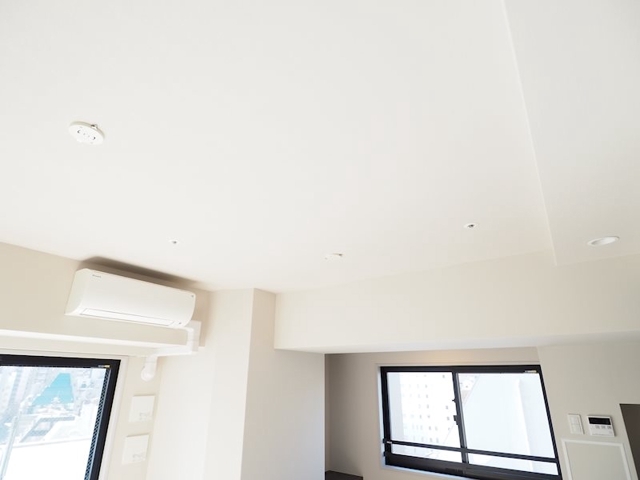 20/23 その他画像