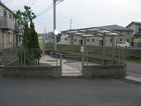 11/16 その他画像