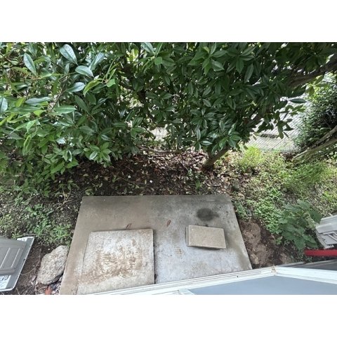 23/23 その他画像