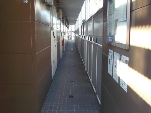 12/12 その他画像