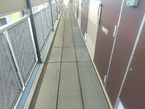 6/22 その他画像