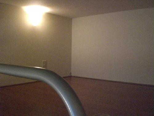 4/14 その他画像