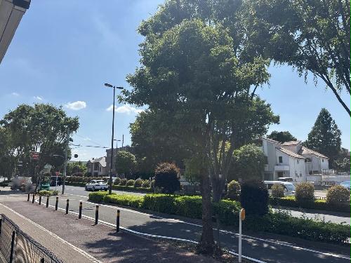 14/14 その他画像