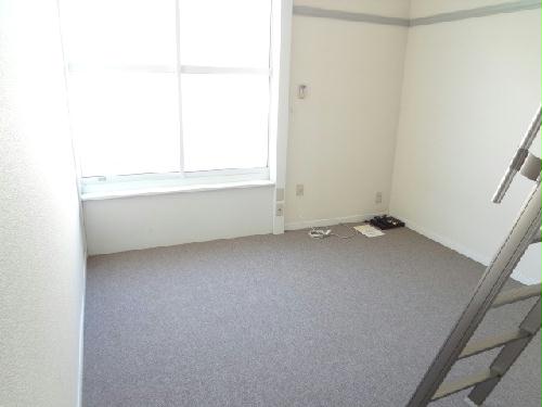 13/13 その他画像