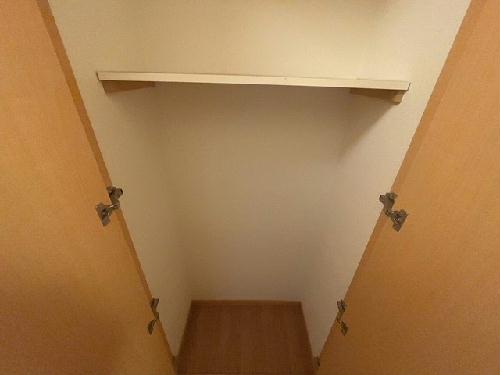 11/14 その他画像