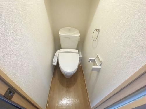 8/14 その他画像