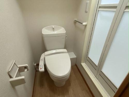 8/14 その他画像