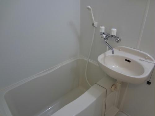 11/13 その他画像