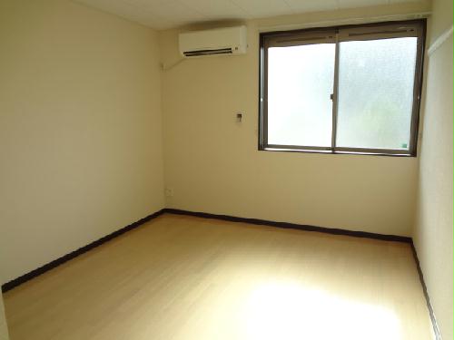 13/13 その他画像