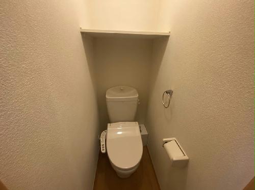 8/14 その他画像