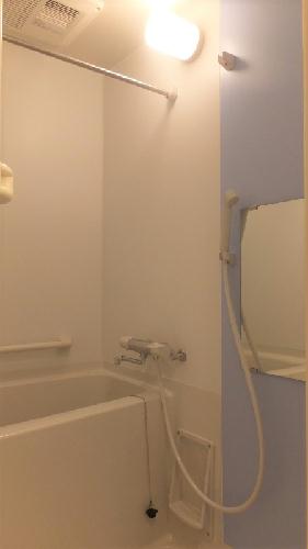 6/15 その他画像