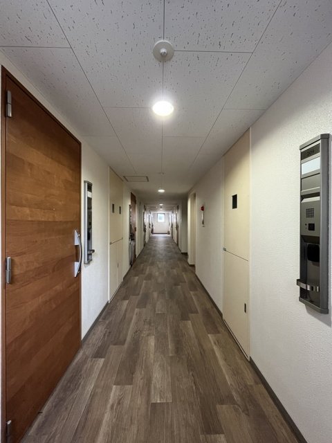 5/16 その他画像