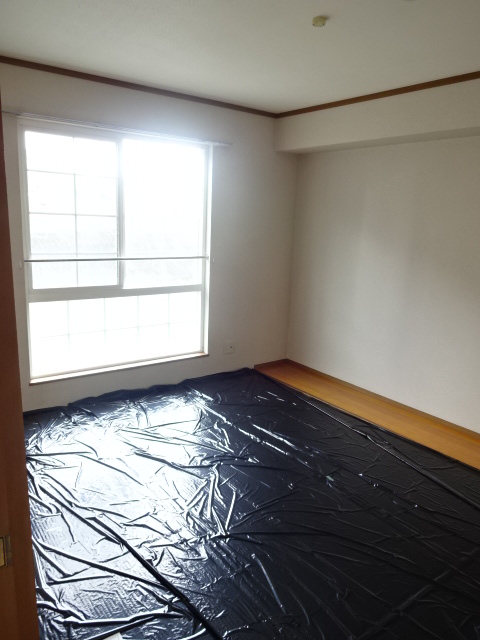 19/26 その他画像