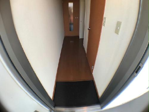 12/14 その他画像