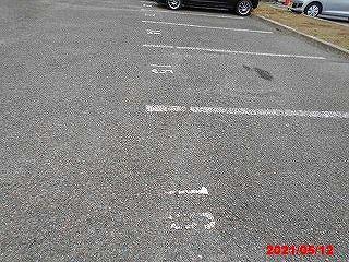 11/14 その他画像