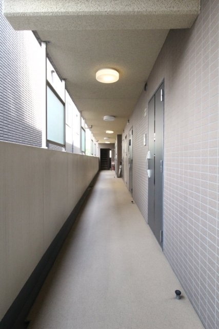 13/17 その他画像