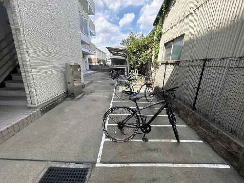 11/14 その他画像