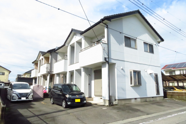 20/30 その他画像