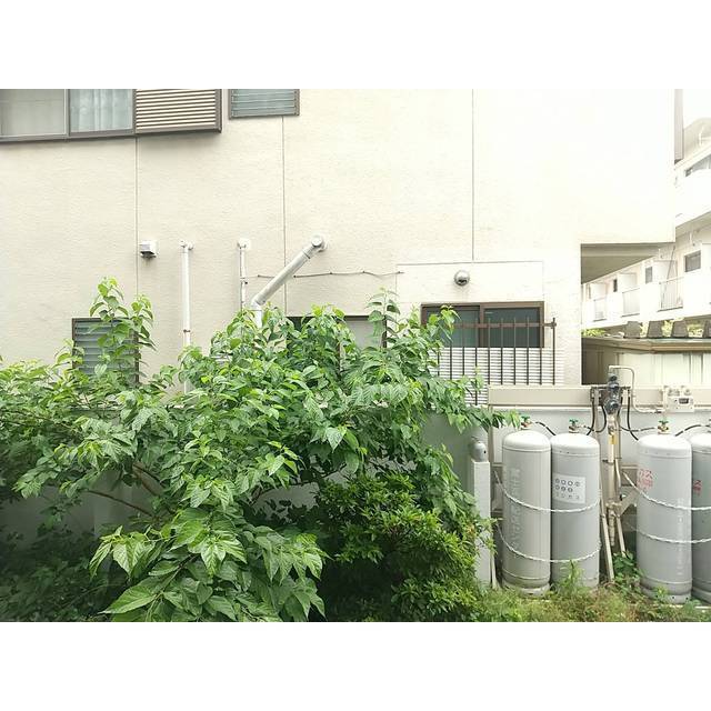 17/17 その他画像