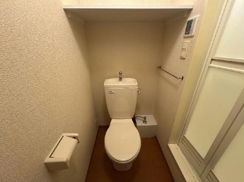 8/14 その他画像