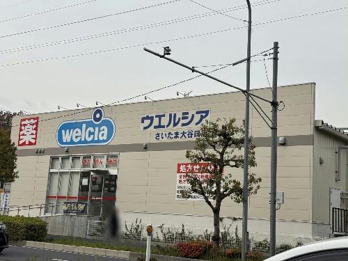 11/14 その他画像