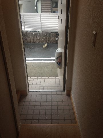 玄関