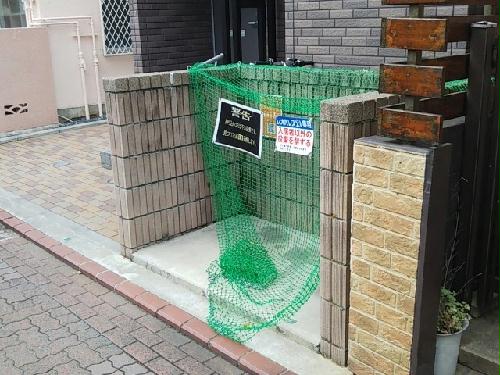 6/13 その他画像