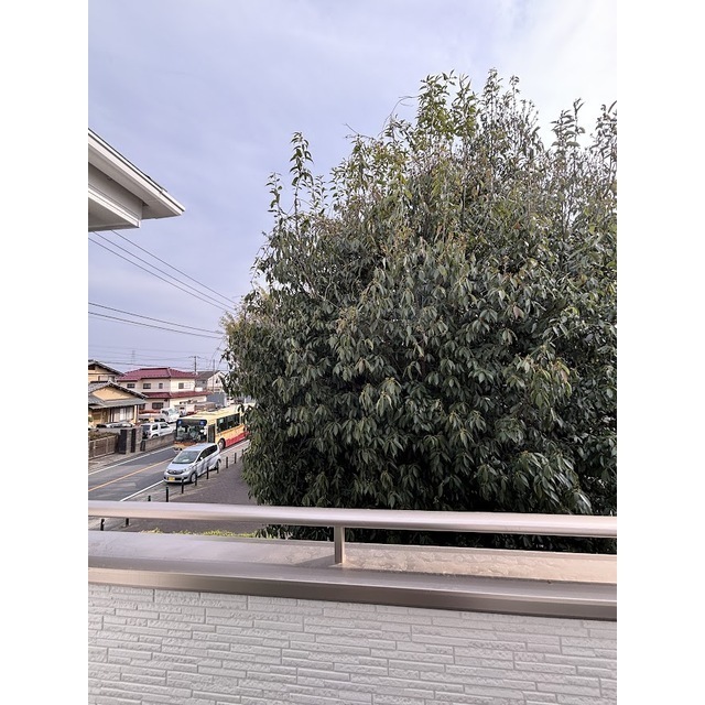 15/25 その他画像