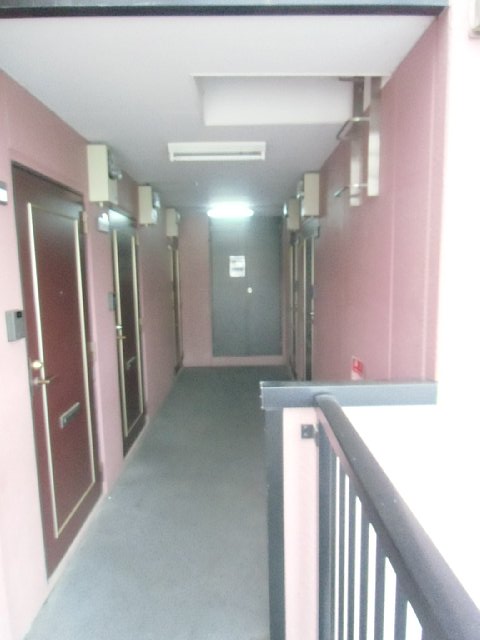 20/28 その他画像