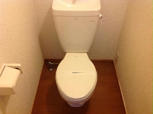 13/21 その他画像